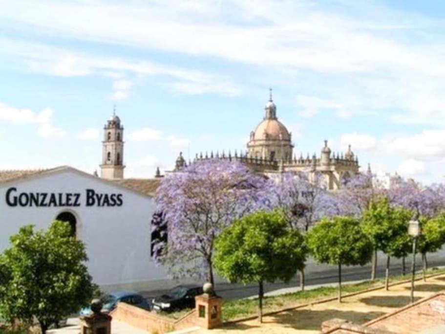 Apartamento Loft Jerez Buleria Apartment Jerez de la Frontera Exterior photo